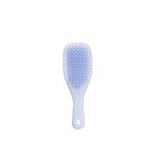 فرشاة Tangle Teezer Mini لفك التشابك باللون البنفسجي الرقمي - فرشاة لفك التشابك، للشعر المبلل - أرجواني مغبر - مشاهدة 1