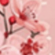 粉色