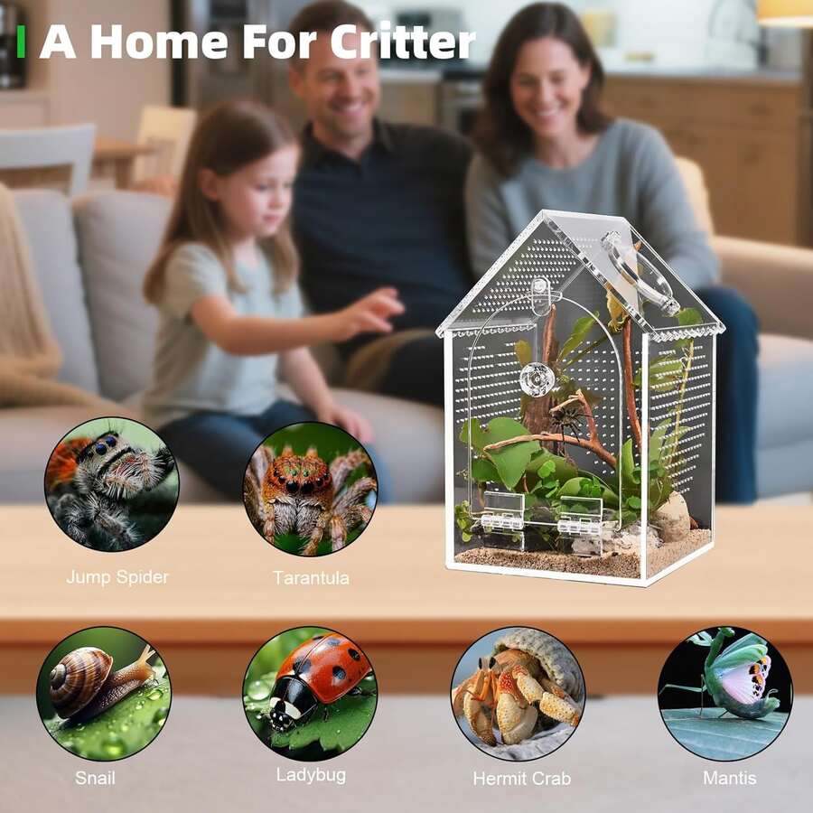 1-Piece Jumping Spider Shell, Anti Warping Seamless Acrylic Agave Glass Container, Front Opening Insect Habitat With Feeding Port, Used For Praying To Ants, Hermit Crabs, Snails, And Micro Reptiles (5 Inches Long * 5 Inches Wide * 20.3 * High) - House - View 1