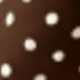 Brown Polka Dot