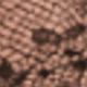 الأسود