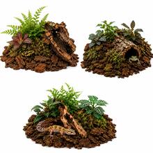 Selected Pine Bark For Terrariums | Retains Moisture And Promotes Aeration - 查看 4