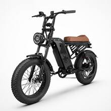 Adult Electric Bicycle, 20-Inch Wide Tires, 750W Motor, 48V 15Ah Battery, Top Speed 45-50 Km/H, Dual Suspension. - CS-M4/A - 查看 1