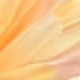 متعدد الألوان