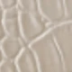 trắng