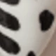 彩色