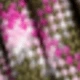 Multi-color-49-lADYGATOR Pink Crocodile