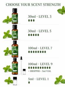 100ml 多規格薄荷精油，便攜精緻瓶裝，持久留香，適用於香薰擴香機、居家、旅行與車用，完美節日禮物 - 薄荷精油 - 查看 3