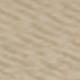 Light Camel