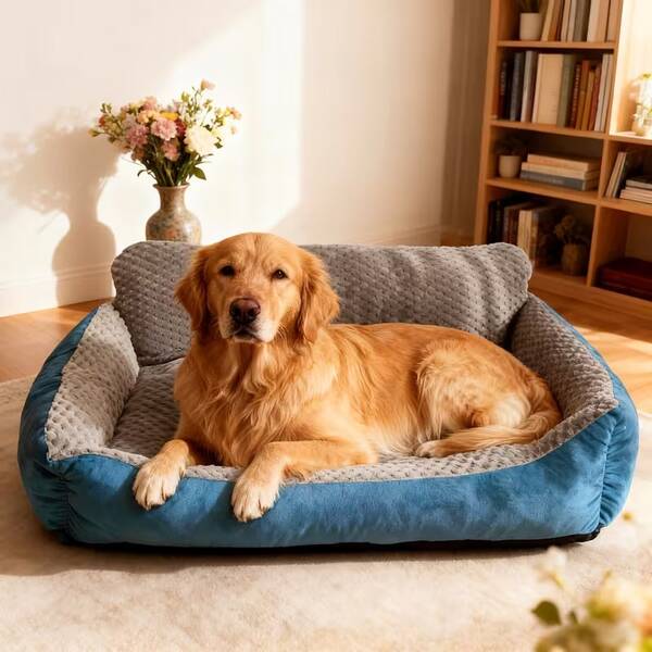 Haustiersofa