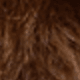 Cocoa Brownie