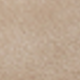 Unta