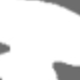 Fallen Angel