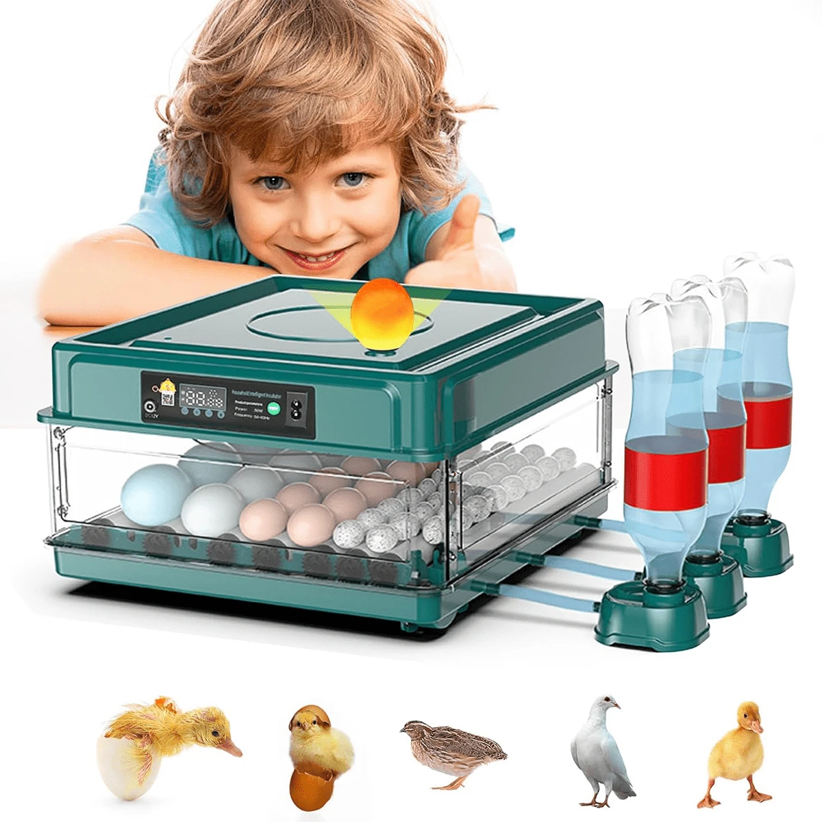 Egg Handling Supplies
