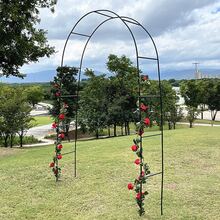 1 Black Metal Garden Arch, Rose Vine Frame+Outdoor Pavilion+Wedding Background Frame In One, Bold Structure, Strong Load-Bearing Capacity, Suitable For Balcony, Lawn, Garden Parties - Arch Support - View 6
