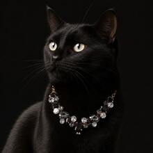 Handmade Black Pearl Style Rhinestone Pet Necklace, Elegant Gold Tone Cat & Small Dog Collar Accessory, Vintage Inspired Decorative Choker With Sparkling Details, Stylish Pet Outfit Accessory For Daily Wear, Birthday, Party, Photos And Gifts - Black - View 5