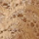 warna kopi