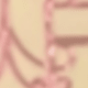 花園蝴蝶