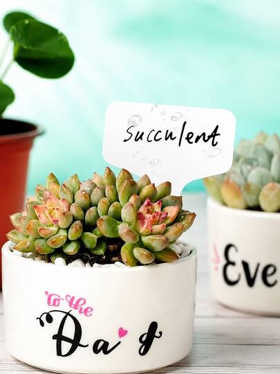 10/25/50/100pcs White T-Shaped Plant Labels, Gardening Plant Markers, Potted Plant Waterproof Outdoor Garden Plant Signs, Easy To Write On Surface, Weather-Resistant, Suitable For Outdoor And Indoor Gardens, Garden Markers