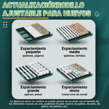 Egg Handling Supplies - Green - View 8