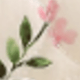 彩色