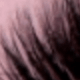Criss Cross lashes