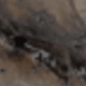 Rust Brown