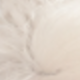 Funny White Hair