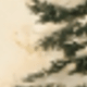 Type H