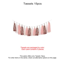 Rose Gold Women & Girls Birthday Party Decoration Set, Includes Happy Birthday Banner, Pink Paper Tassels, Tulle Paper Pom Poms, Round Wreath, Balloons, Party Decor - Rose Gold White Tassel Set - View 13