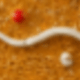1PC
