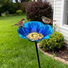 1 Peça Estaca de Banho de Pássaros, Alimentador de Pássaros de Jardim em Forma de Flor de Metal Feito à Mão, Decoração Estética Resistente às Intempéries, Estilo Vintage Destacável, Banho de Pássaros Externo para Gramado e Quintal - Tamanho Único - Visão 6