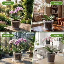 5pcs/4pcs/3pcs Transparent Orchid Pots With Base, 3"/4"/5"/6"/7" Plastic Multi-Size Flower Pots, Modern Plant Growing Pots, Premium Weatherproof Outdoor Rooting & Seedling Cultivation Pots, Includes Gardening Accessories, Suitable For Professional Gardening Tools, Drainage Hole Breathable Slotted Clear Plastic Orchid Planters For Indoor/Outdoor Plants And Orchids - A - View 9