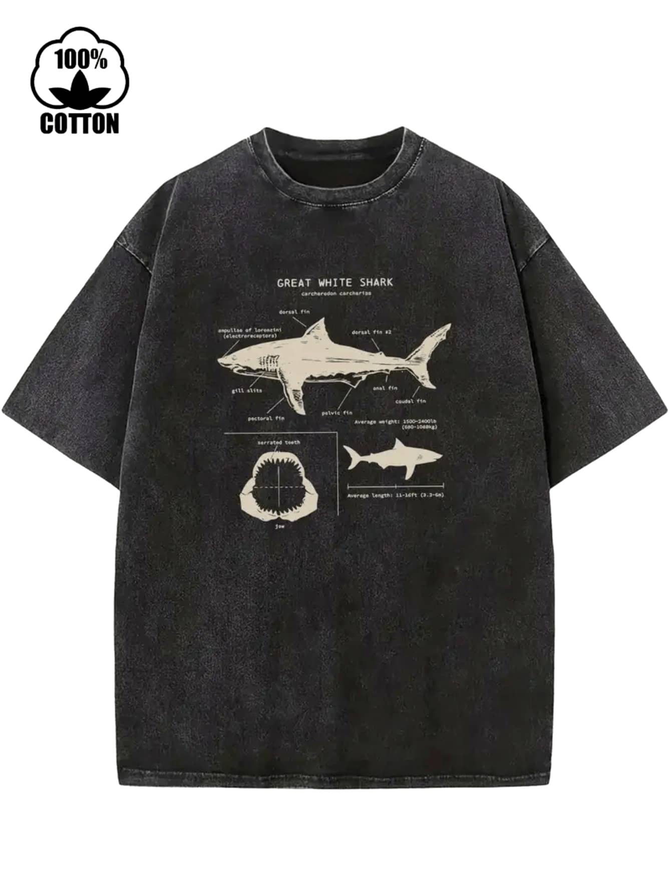 Women T-Shirts - 黑色 - 查看 1