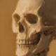 骷髏