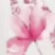 Pink Cherry Letter-m