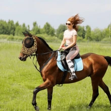 Milk Pattern UV Protection Anti-Insect Elastic Soft Comfortable Mesh Horse Face Mask Breathable Fabric Soft Mesh (M Size, L Size) - Brown Milk Marble - View 5
