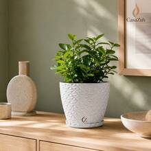 Vaso de planta modelo diamante altura de 20 cm - Branco - Visão 4