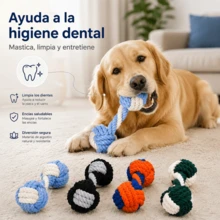 Juguete masticable de cuerda con nudo para perros, ideal para la dentición y la limpieza dental. Juguete de tira y afloja duradero. - Negro - Ver 3