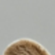 灰色