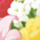 花香套盒