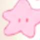 Starfish Pet