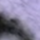 Lilac Purple