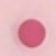 وردي