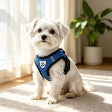 Anti-Pull Reflective Dog Harness 4-In-1 Set, Soft Breathable Mesh Adjustable Pet Vest With Leash, Includes Bell And Flower Hair Clip, Suitable For Small Dogs, Puppies, Kittens, Yorkshire Terrier, Chihuahua - Multicolor - View 5