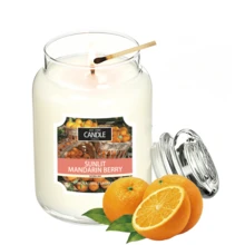 150-Hour Long Burning Scented Candle In Jar, Soft Blanket, Perfect Gift For Women - one-size - View 11