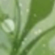 混合色1