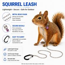 Small Pet Metal Bead Chain Leash, Lightweight Walking Lead, Suitable For Squirrels, Rabbits, Sugar Gliders And Other Small Animals Outdoor Travel - Multicolor - View 11