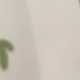彩色