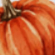 Coral Orange